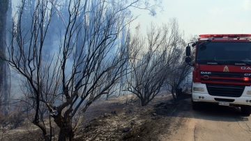 Φωτιά τώρα σε δασική έκταση στον Λαγκαδά Θεσσαλονίκης