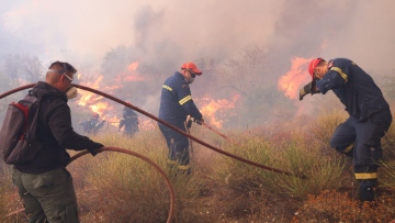Φωτιά στη Βοιωτία: Μεγάλο το πύρινο μέτωπο - Ελπίδα τα εναέρια μέσα