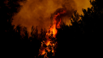 Φωτιές: Παραμένει μεγάλο το πύρινο μέτωπο στη Βοιωτία - Αγωνία για τους ισχυρούς ανέμους