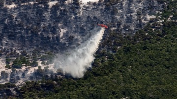 Φωτιά στην Πάρνηθα: Μεγάλη κινητοποίηση με 270 πυροσβέστες, 77 οχήματα και 22 εναέρια μέσα - Μάχη με τις αναζωπυρώσεις