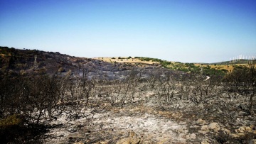 Φωτιές στην Κάρυστο: Προφυλακίστηκε ο 20χρονος που προκάλεσε πέντε πυρκαγιές από πρόθεση