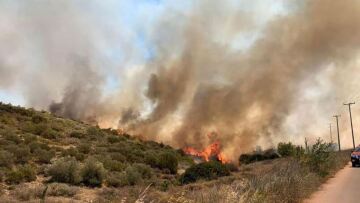 Φωτιές: «Μάχη» με 105 πυρκαγιές σε όλη τη χώρα δίνει η Πυροσβεστική - Σε Έβρο και Ροδόπη τα πιο κρίσιμα πύρινα μέτωπα