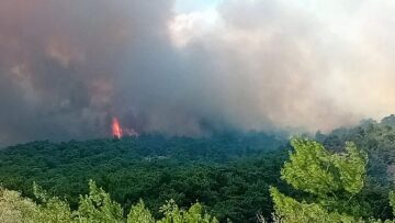 Φωτιά στον Έβρο: Μειώθηκε η ένταση του πύρινου μετώπου στη Λευκίμμη Σουφλίου