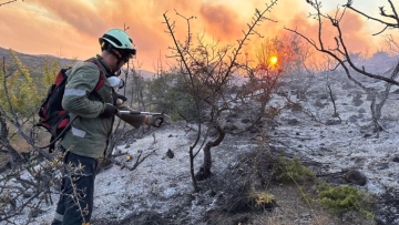 Φωτιές: Το μήνυμα της Κομισιόν - «Ελλάδα, δεν είσαι μόνη»