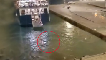 Επιχείρηση ανασκευής από την εταιρεία του Blue Horizon: Είδαμε αδιανόητες σκηνές, θα γίνει εσωτερική έρευνα