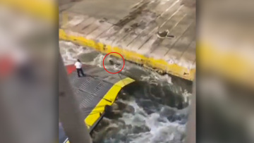 Blue Horizon: Ποιοι λιμενικοί ελέγχονται πειθαρχικά μετά τον θάνατο του Αντώνη - Αναταράξεις και παραιτήσεις στην Attica Group