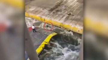 ΠΝΟ: 24ωρη Πανελλαδική απεργία σε όλα τα πλοία στις 13 Σεπτεμβρίου μετά τη δολοφονία του Αντώνη