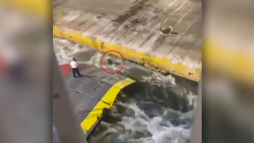 Δολοφονία στο Blue Horizon: Τι αναφέρει το Ημερολόγιο Συμβάντων του Λιμενικού