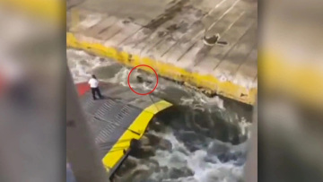 Blue Horizon: Οι αντιφάσεις του ύπαρχου που έσπρωξε τον Αντώνη Καργιώτη