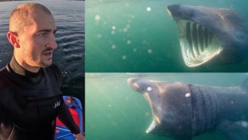 Σκωτία: Τον περικύκλωσε καρχαρίας και κατέγραψε τη στιγμή σε βίντεο