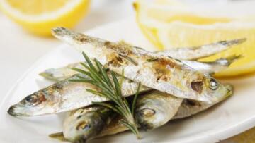 Λέσβος: Η σαρδέλα Καλλονής, προς ένταξη στα προϊόντα Προστατευόμενης Ονομασίας Προέλευσης 