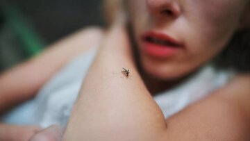 Ιός Δυτικού Νείλου: Συνεχίζονται οι λοιμώξεις στη Θεσσαλία – Ποιοι δήμοι καταγράφουν τα περισσότερα κρούσματα