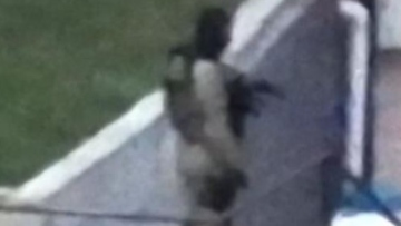 Κόσοβο: «Υπό έλεγχο» το μοναστήρι όπου είχαν ταμπουρωθεί ένοπλοι - Επικοινωνία Μπορέλ με Κούρτι και Βούτσιτς