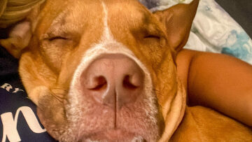 Οι πιο αστείες φάτσες των φίλων του Woof Festival 2023