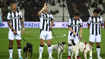 Ωραίες εικόνες στην Τούμπα - Οι παίκτες του ΠΑΟΚ και του Βόλου μπήκαν στο γήπεδο συνοδεία αδέσποτων σκύλων - Φωτογραφίες και βίντεο