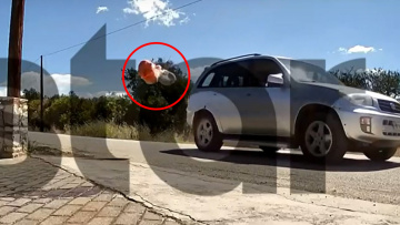 Σόου Κούγια στη «δίκη» του δημάρχου Ναυπλιέων - «Του πέταξε περιττώματα... για να του δείξει πως είναι σκουπίδι!»