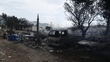 Πάρνηθα: Το Κοινωφελές Ίδρυμα Αθανάσιος Κ. Λασκαρίδης συνδράμει στην αναδάσωση πάνω από 11.000 καμένων στρεμμάτων 