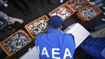Φουκουσίμα: Δείγμα ψαριών έλαβε ο ΙΑΕΑ για την εξέταση των υδάτων που απορρίπτει ο πυρηνικός σταθμός