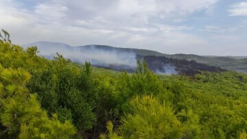 Φωτιά στις Μαριές Ζακύνθου - Ενισχύθηκαν οι δυνάμεις της Πυροσβεστικής