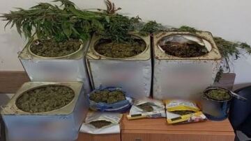 Δράμα - Καβάλα: Σκόπευε να πουλήσει πέντε κιλά κάνναβης 