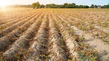 Κλιματική αλλαγή: Παγκόσμια ανησυχία για την ξηρασία - Πάμε σε όλο και πιο θερμά έτη, προειδοποιούν οι ειδικοί