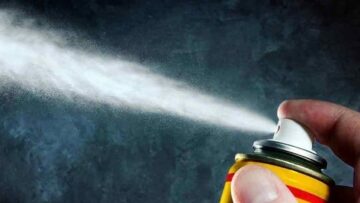 Ανθεκτικοί στα εντομοκτόνα οι κοριοί στην Ελλάδα - Πού οφείλεται η εξάπλωσή τους στην Ευρώπη