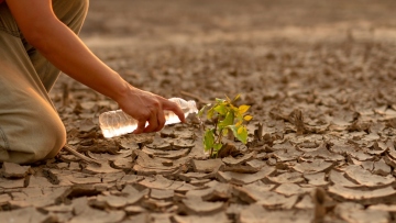 Copernicus: Ξεπεράστηκε για πρώτη φορά το κρίσιμο όριο των 2 βαθμών για την υπερθέρμανση του πλανήτη