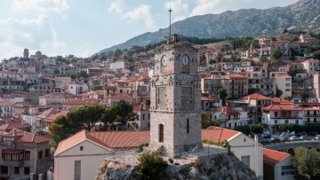 Αράχωβα: «Δεν συγκαλύπτουμε κακουργηματικές πράξεις σε ζωάκια», λέει η πρόεδρος του Συλλόγου Ξενοδόχων