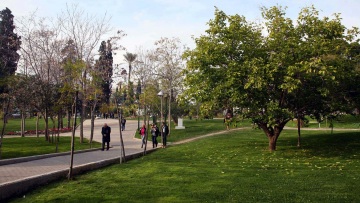 Πάρκο Ριζάρη: Διασώζονται προσωρινά τα 230 δέντρα με απόφαση του ΣτΕ