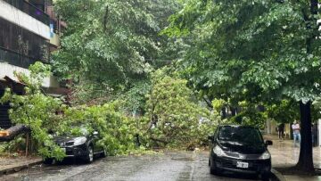 Σφοδρή καταιγίδα πλήττει Αργεντινή και Ουρουγουάη - Τουλάχιστον 16 νεκροί