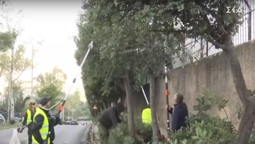 Ζωγράφου: Μετά τη βόμβα κοντά στην έδρα των ΜΑΤ κλαδεύουν τα δέντρα που δημιουργούσαν «τυφλά» σημεία στον περίβολο