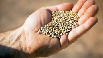 H φακή Εγκλουβής κατοχυρώθηκε ως ΠΟΠ