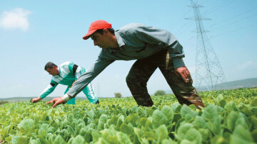 Υπουργείο Μετανάστευσης: Στο τελικό στάδιο το νέο νομοσχέδιο για τη νόμιμη μετανάστευση - Τι προβλέπει 