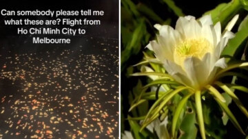 Επιβάτης αεροπλάνου έπαθε σοκ όταν κοίταξε έξω από το παράθυρο: «Το TikTok με βοήθησε να λύσω το μυστήριο»