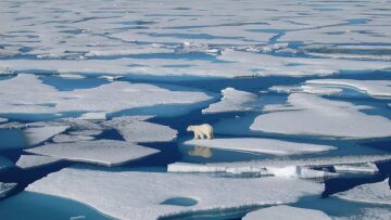Κλιματική αλλαγή - Επιβεβαιώθηκαν οι επιστήμονες: Το 2023 ήταν η πιο θερμή χρονιά εδώ και πάνω από έναν αιώνα 