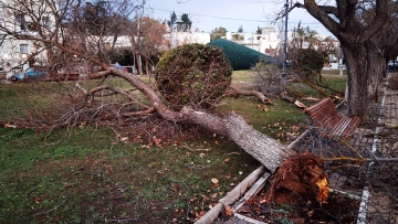 Καιρός: Μέχρι το απόγευμα οι καταιγίδες - Ποιες είναι οι «κόκκινες» περιοχές, δείτε live την πορεία της κακοκαιρίας
