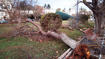 Καιρός: Νέο έκτακτο δελτίο από την ΕΜΥ: Στο κόκκινο 7 περιοχές - Οι θυελλώδεις άνεμοι σάρωσαν Αττική, Θεσσαλονίκη, Ηλεία