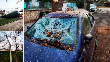 Καιρός: Κομμένα δέντρα, σπασμένες κολώνες, ζημιές σε αυτοκίνητα από το μπουρίνι στην Αττική 