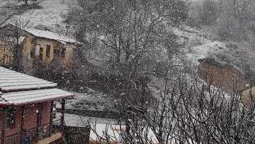 Κακοκαιρία: Τα πρώτα προβλήματα από την επέλαση της ψυχρής εισβολής - Κατολισθήσεις και πτώσεις δέντρων στη βόρεια Ελλάδα