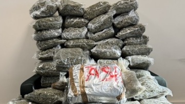 Θεσσαλονίκη: Δύο συλλήψεις για διακίνηση ακατέργαστης κάνναβης - Κατασχέθηκαν πάνω από 66 κιλά