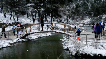 Καιρός - Κολυδάς: Ποιες περιοχές θα «ντυθούν» στα λευκά το Σαββατοκύριακο, γιατί δεν έρχονται πολλά χιόνια
