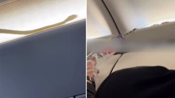 Τρόμος στον αέρα: Επιβάτες ανακάλυψαν φίδι να κάνει βόλτα στην καμπίνα του αεροπλάνου