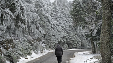 Πάρνηθα: Μικροί και μεγάλοι για χιονοπόλεμο - Δείτε φωτογραφίες