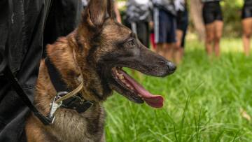 Ο χειριστής του ήρωα σκύλου Echo, μιλάει στο topetmou.gr για τo μυστικό της επιτυχίας στην εκπαίδευσή του