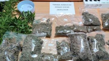 Ηλεία: Συνελήφθη καλλιεργητής κάνναβης με σχεδόν δυο κιλά - Την είχε μοιράσει σε 19 συσκευασίες