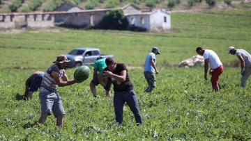Δόμνα Μιχαηλίδου: Στις 180.000 θα φτάσουν οι μετακλητοί εργάτες από τρίτες χώρες