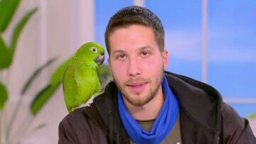 Άγγελος Γεωργουδάκης σε Τάκη Καραγκούνια: Πήγες να μου βγάλεις τα μάτια, αλλά πάλι καλά τα έχω δεκατέσσερα