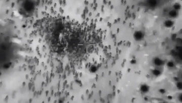 Γάζα: Επιμένει το Ισραήλ για το μακελειό κατά τη διανομή τροφίμων - Οι περισσότεροι σκοτώθηκαν στο ποδοπάτημα