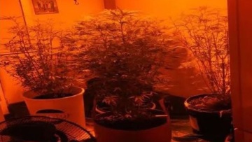 Δράμα: Καλλιεργούσαν υδροπονική κάνναβη στο σπίτι τους 