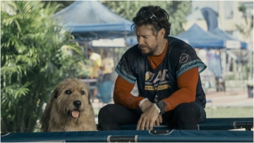 Μαρκ Γουόλμπεργκ για τον σκύλο συμπρωταγωνιστή του: Το να βλέπω πόσο δυνατή ήταν η ερμηνεία του ήταν φοβερό